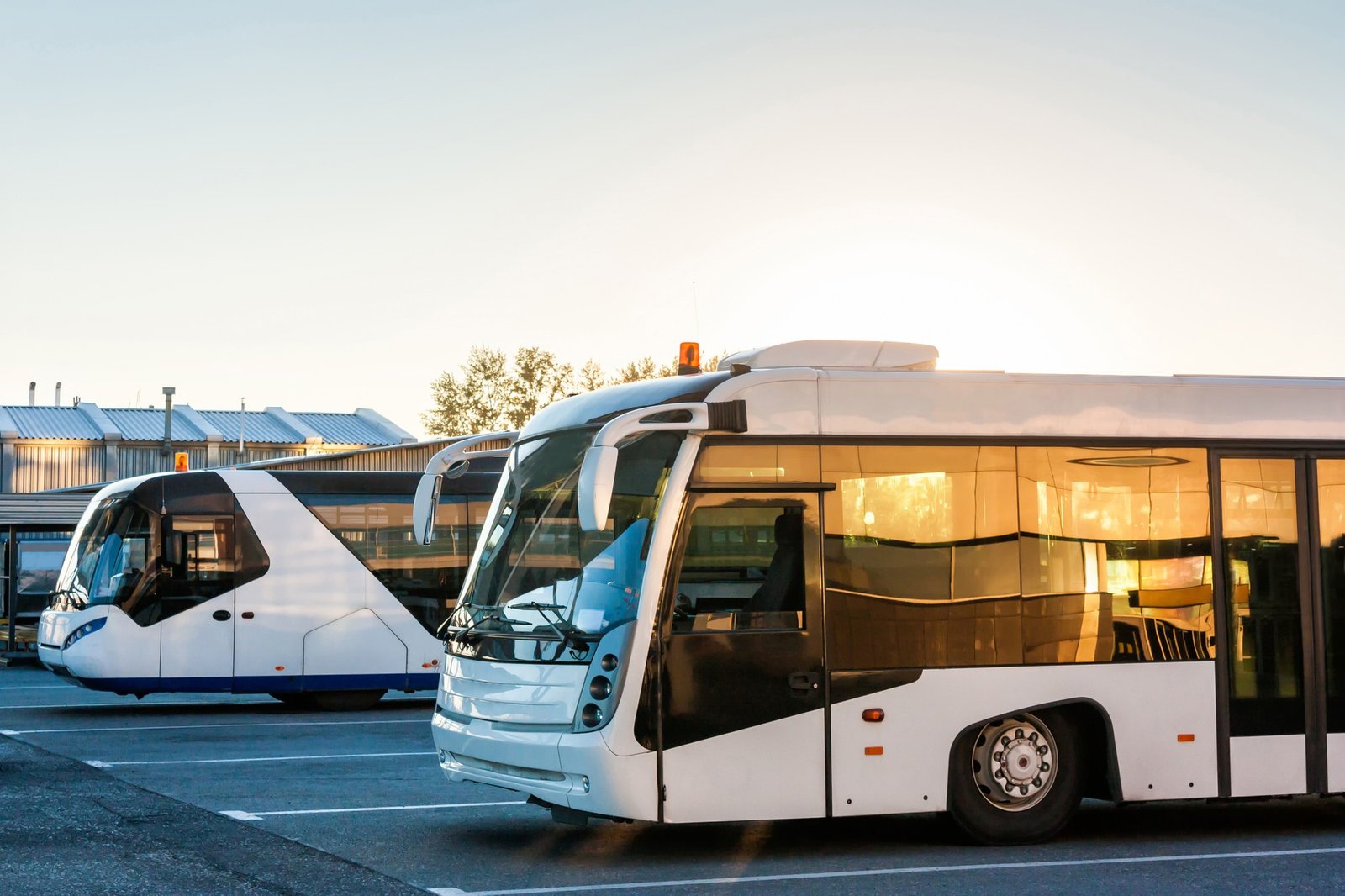 Public transport vehicles including buses and trams parked at a depot